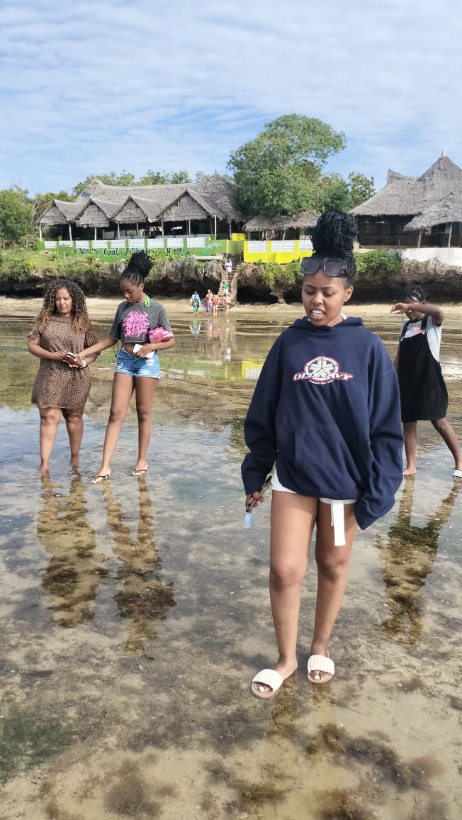 Uncle Jim Logistics delivery service